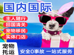 琼海博鳌空运国际宠物托运 【国